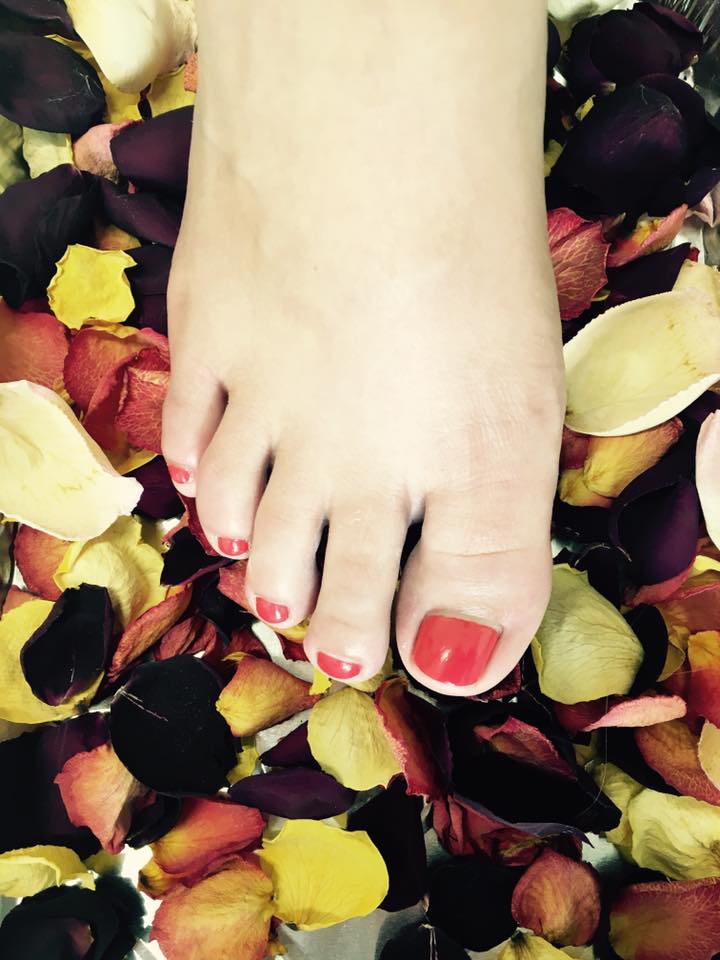 19598960_1428497570574023_7867668484687579784_n