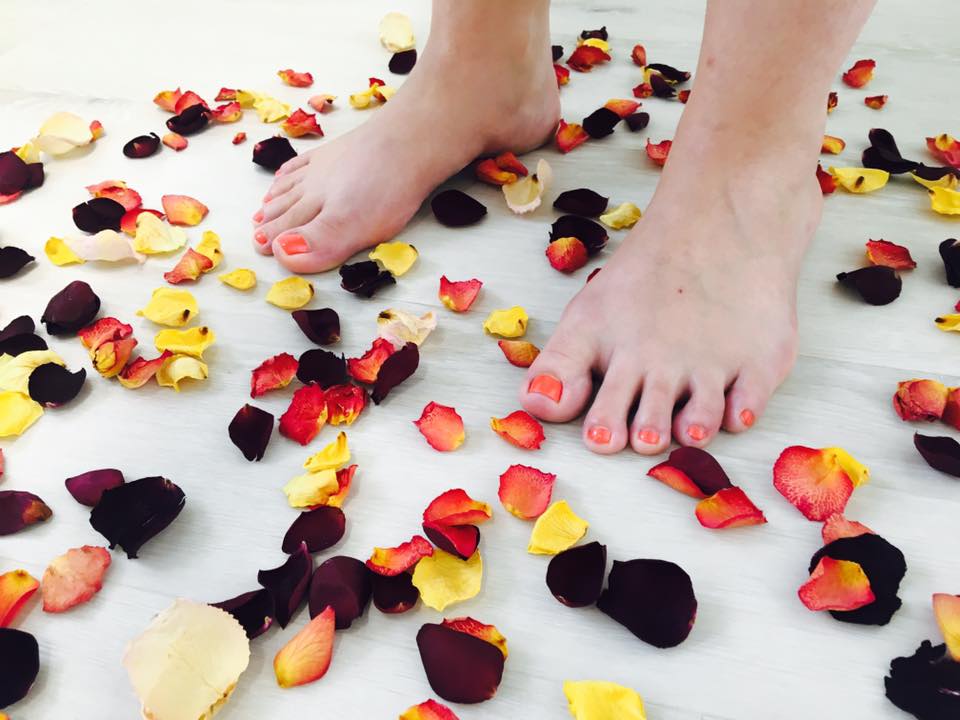 19601425_1428495747240872_5669970979273079955_n